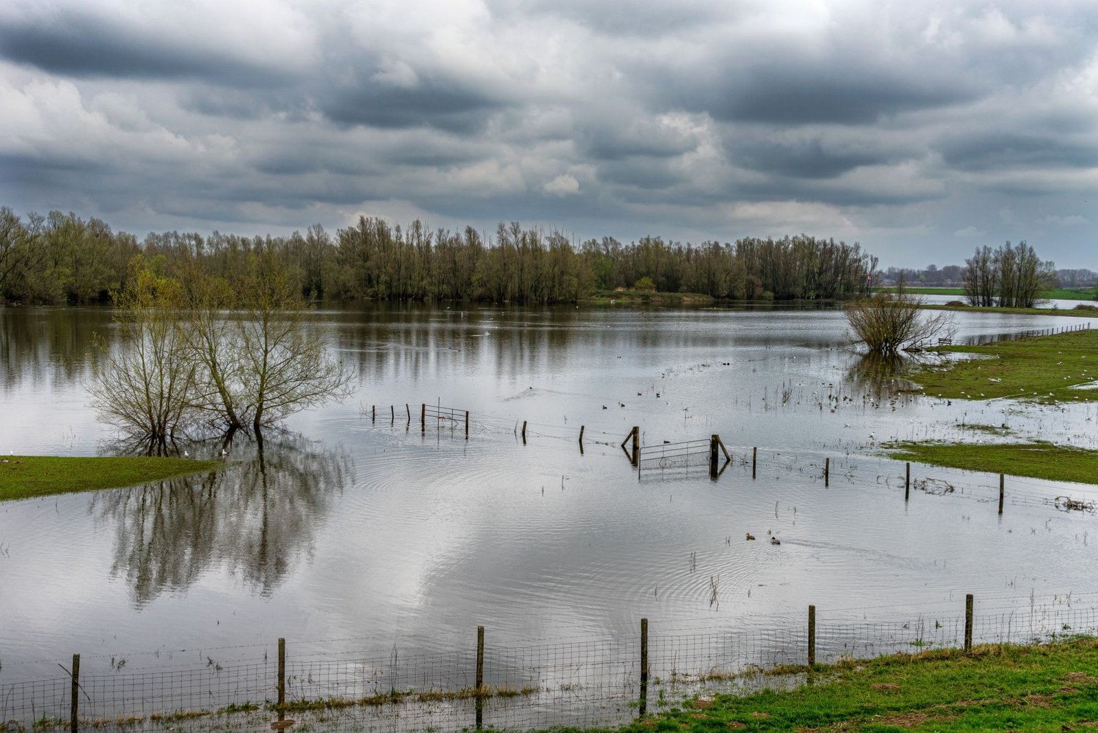 Water Damage Restoration Water Damage Restoration